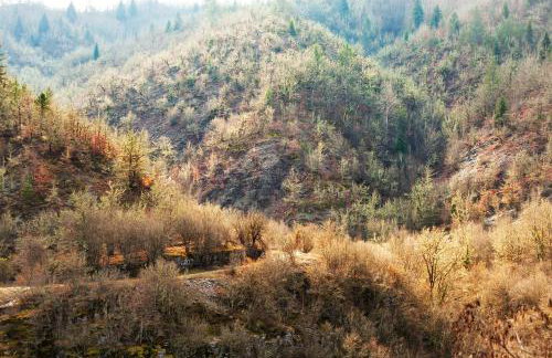 Heaven s View Mansion - Zagori Stone Built Gem - Foto 94