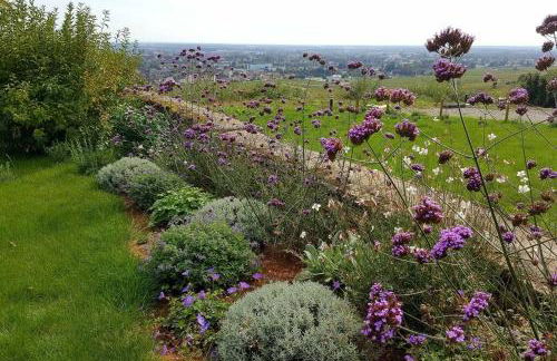 La Maison de l'Ecu : charme et vue incroyable - Foto 47