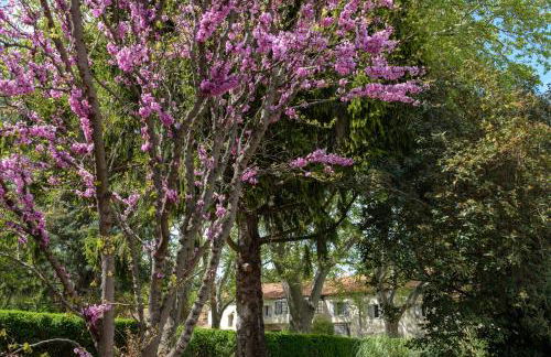 Mas 9 Romanin - Mas Provençal Familial - Foto 35