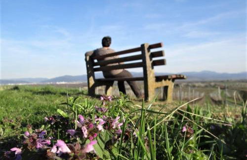 Zum Rebberg Ferienwohnungen - Photo 2