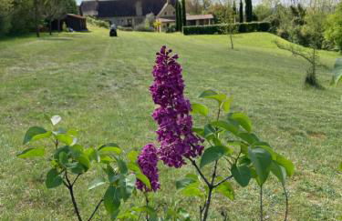 The Lion House - Foto 75