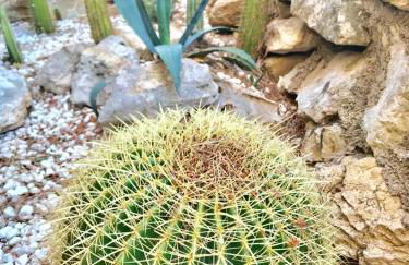 Casa Martí - Foto 12