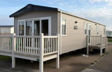 Driftwood dreams - Photo 1