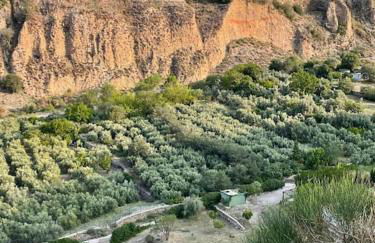 Casa Blanca, Acequias, Lecrin valley, Granada - Foto 60