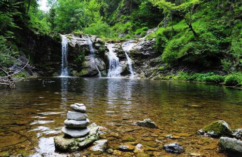 Zen Spa Oasis Retreat Sauna/Hotub/Firepit/Fun/Gameroom - Foto 63