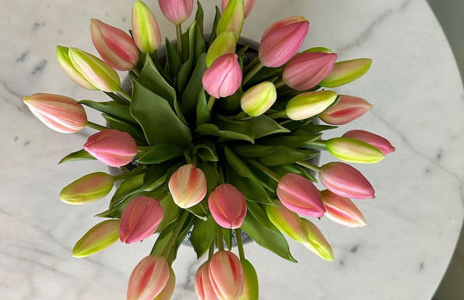 NLM Boutique Suites - Foto 14