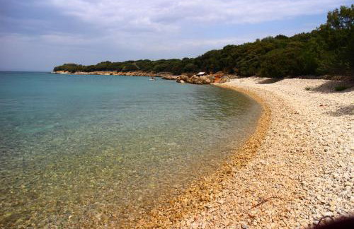 Apartmani Vesna - Foto 40