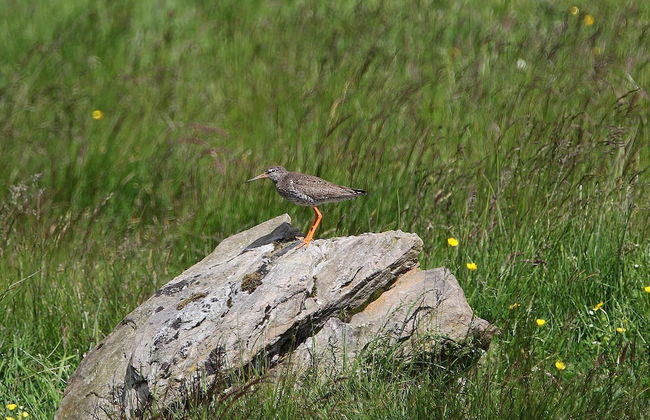 Cosy Modern Nordic Lodge w/ Loch View & Log Burner - Photo 33