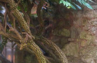 The Oak House - Photo 17