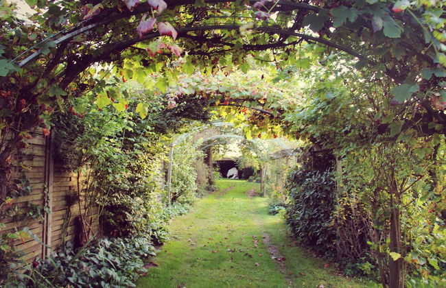 De Reus van Horebeke - Photo 34