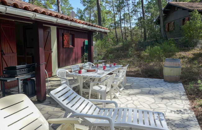 Les Sylvaines - Foto 22