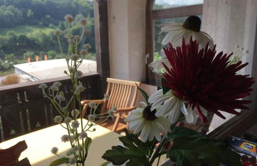 Lina's Rhön - Foto 1