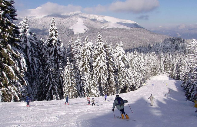 Casa Camilla Holiday - Photo 31