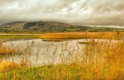 Shelduck Cottage - Foto 20