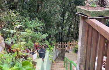 Refugio Luz de vida Anaga - Foto 18