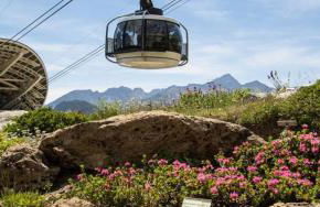 La maison des Guides - trilocale a 500 mt dalle piste di Dolonne - Foto 80