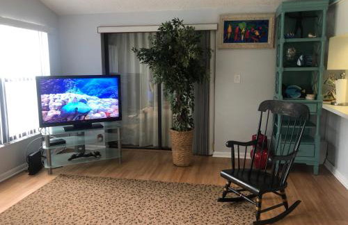 Florida Condos on Lake Tarpon - Foto 7