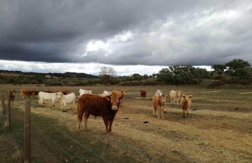 Casa do Lagar de Medelim - Foto 37