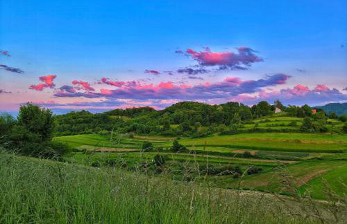 Discover the magic of nature - Foto 21