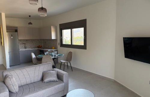 Poseidon 77B Luxury Residences - Foto 23