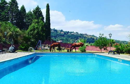 Villa Alessio - Case Vacanza con Piscina sull'Etna - Foto 3