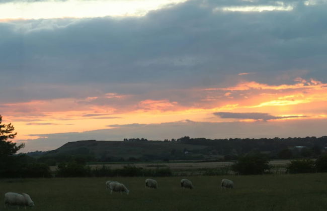 Spacious Cottage With Sauna Looking out on Astonishing Grasslands - Photo 42