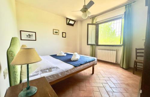 Agriturismo il Pino - Bioagricoltura - Photo 2