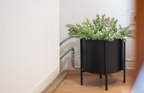 Villa Dalmatina - Foto 14