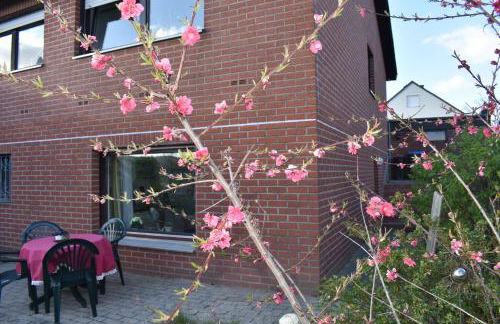 Ferienwohnung Jannack für 5 Personen in Bad Münder - Foto 26