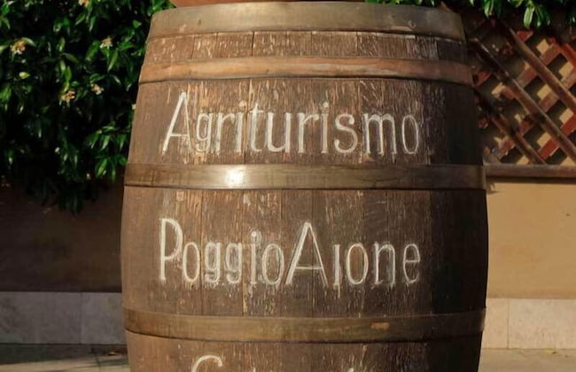 Bio Agriturismo Poggio Aione - Foto 63