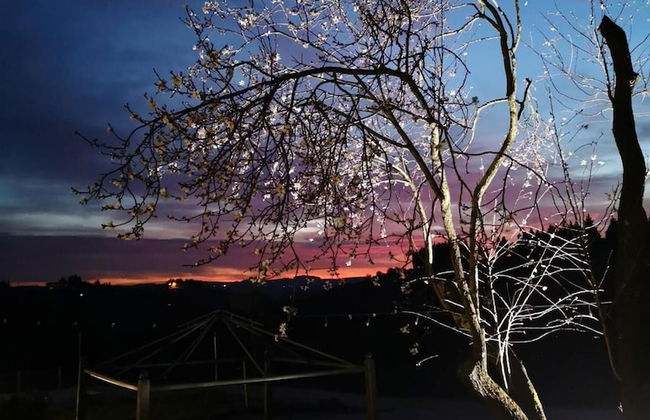 Azienda Agricola I Colli di Marliano - Photo 19