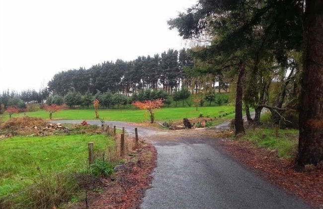 Morning Calm Lodge Limited - Photo 16