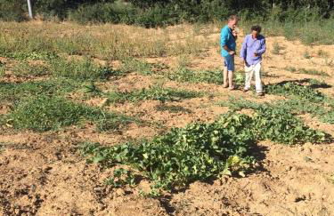 Agriturismo San Pietro - Foto 109