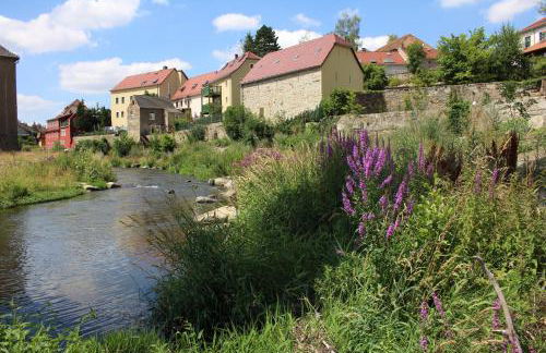 Ferienwohnung Kapplermühle - Foto 25