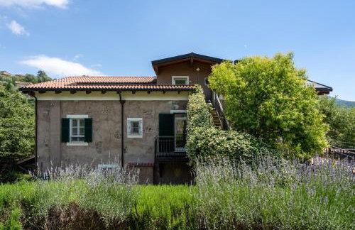 Il Giardino del Sole - Rosmarino - Foto 1