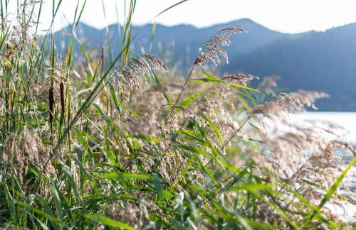 Seeheimat Ferienwohnungen - Foto 65