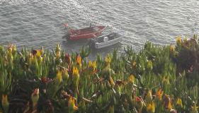 Navegante's House - Foto 3