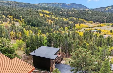 Treehouse 1BR with Hot Tub home - Foto 29