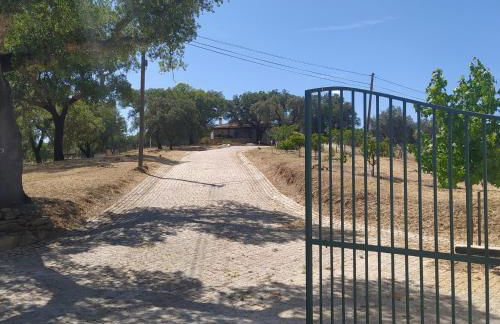 Casa do Forno Évora retreat - Foto 7