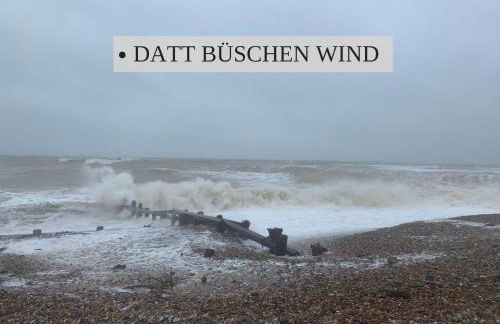 Haus Krabbe Apartments, zentral gelegen zwischen Bremerhaven und Cuxhaven, Hunde kostenfrei willkommen, hauseigene kostenfreie Parkplätze, Unterstellmöglichkeit für Fahrräder und E-Bikes - Foto 24