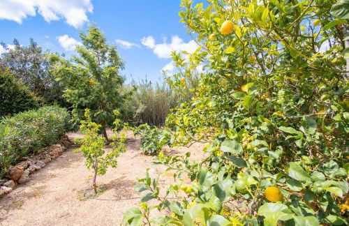 Casa Alegria This Villa is Perfect for a Family - Foto 131