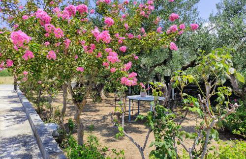 Katerina's Countryside and Sea House - Foto 37