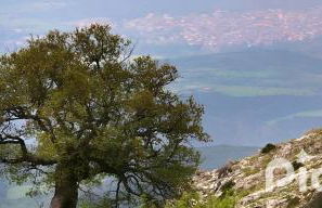 Modern Apt REVENTINO - Le Lincelle, Lamezia - Photo 43