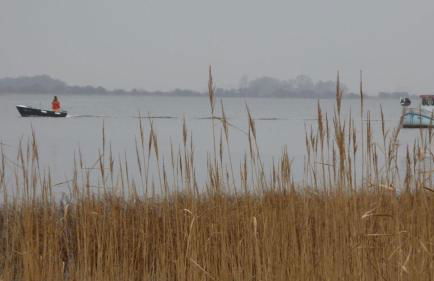 Gut-Rattelvitz-Galerie-F-hochwertig-Sauna-Kamin-eTankstelle-Spielscheune-15-000qm-Park-Land - Foto 65