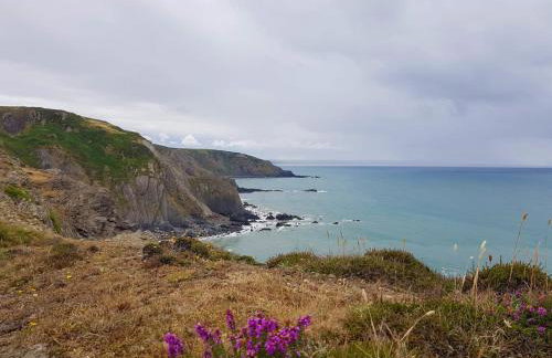 3 Bed in Bude oc-57739 - Foto 59