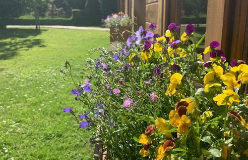 Crafter's Retreat luxury cabin on the Norfolk Cambridgeshire border - Foto 50