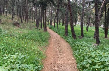 Lillian’s House - Foto 77