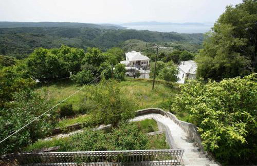 Stay Horizon #P1, Milies - Foto 38