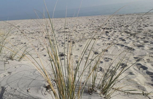 Chrissi's Baltic Sea Nest - Foto 25