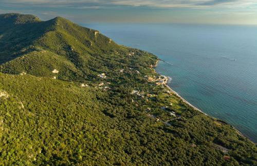 Ioanna's and Niko's Skala Apartments - Photo 53